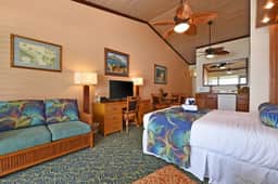 Napili Shores I270 - Image 3