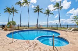 Paki Maui 217 - Image 2