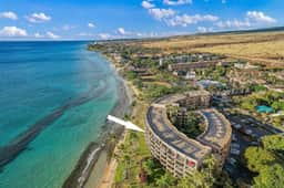 Paki Maui 304 - Image 5