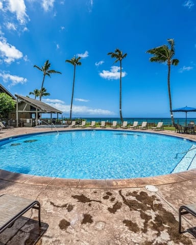 Oceanfront resort pool with lounge chairs, palm trees, and blue ocean horizon under clear sky