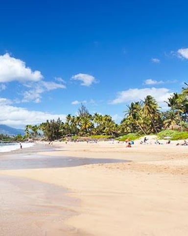 Sandy beach with palm trees, shallow water, and mountains in the distance under blue sky