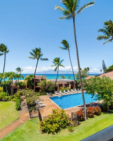 Scenic Maui road with tropical landscape