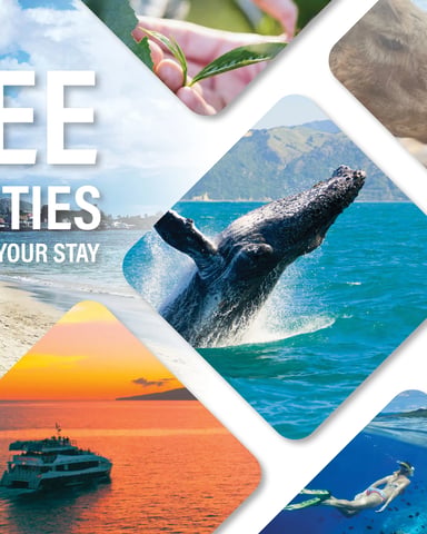 Promotional collage showing free activities including beach, whale breaching, sunset cruise, snorkeling, and plant handling, powered by Xplorie