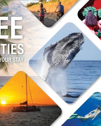 Promotional collage showing free activities including beach sunset with sailboat, whale breaching, snorkeling, cycling, and tropical flowers