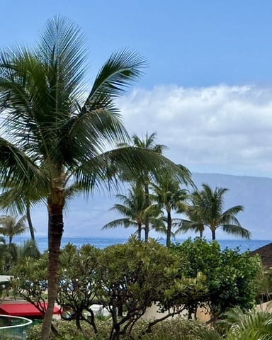 Modern beachfront condo with palm trees, ocean view, and mountains in distance under blue sky