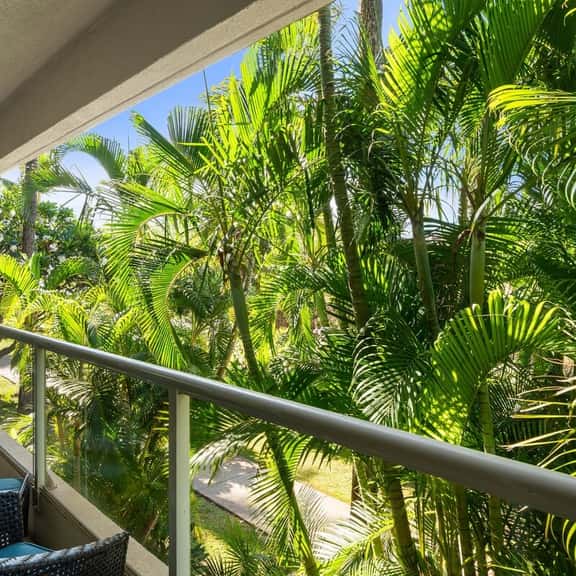 Maui Banyan H207 - Image 1