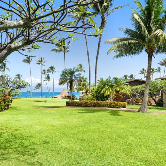 Napili Shores F149 - Image 1
