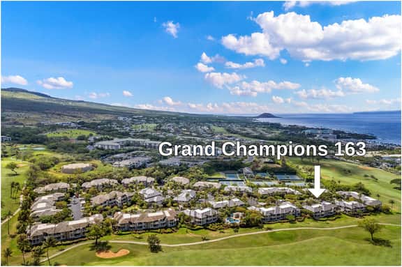 Grand Champions 163 - Image 5