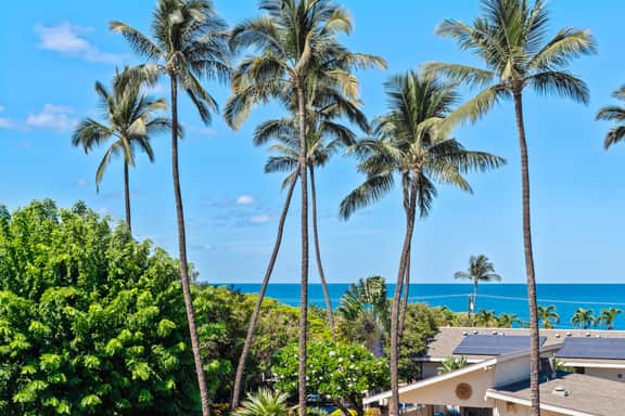 Kihei Akahi C303 - Image 2