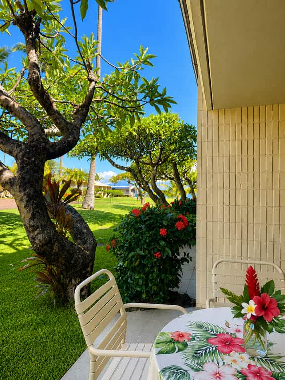 Napili Shores C120 - Image 2