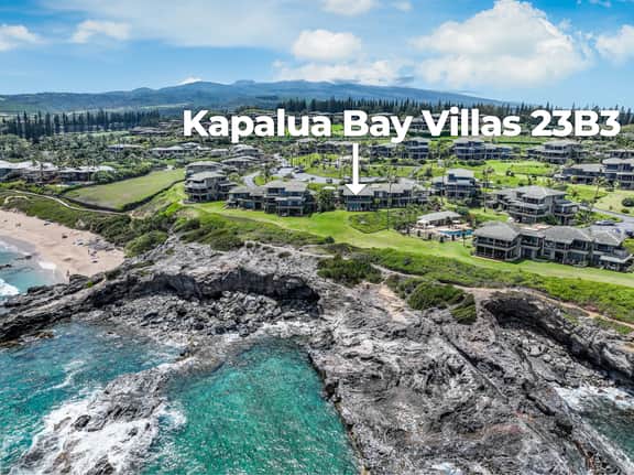 Kapalua Bay Villas 23B3 - Image 5