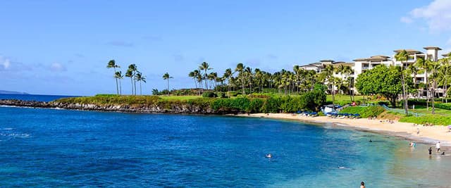 Sandy beach with turquoise water, palm trees, and multi-story resort buildings along the shoreline