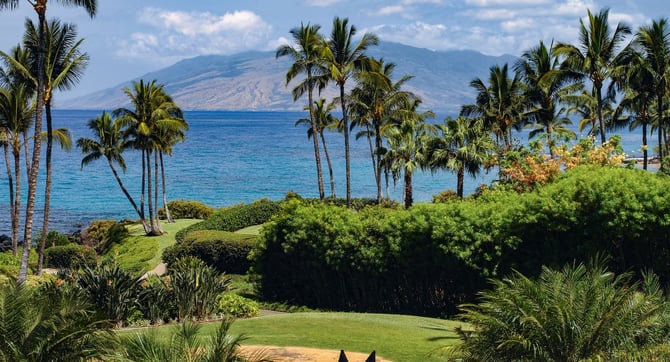 Complimentary Activities, Every Day of Your Stay