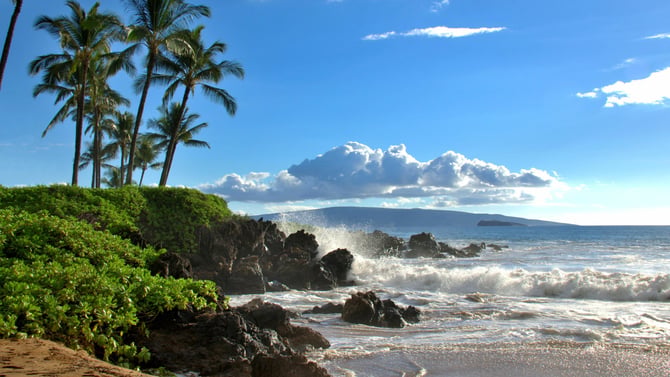 Embrace Warmth: Your Ultimate Guide to Winter on Maui