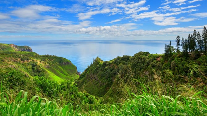 Spring Break on Maui: Your Family Activities Guide