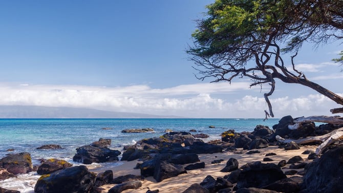 Best Maui Beach Day Itinerary: Your Complete Guide to Paradise