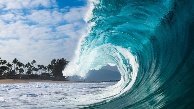 Surfing on Maui: Your Complete Guide to Hawaii's Premier Wave-Riding Paradise