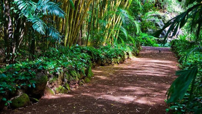 Hikes Fit For The Little Ones