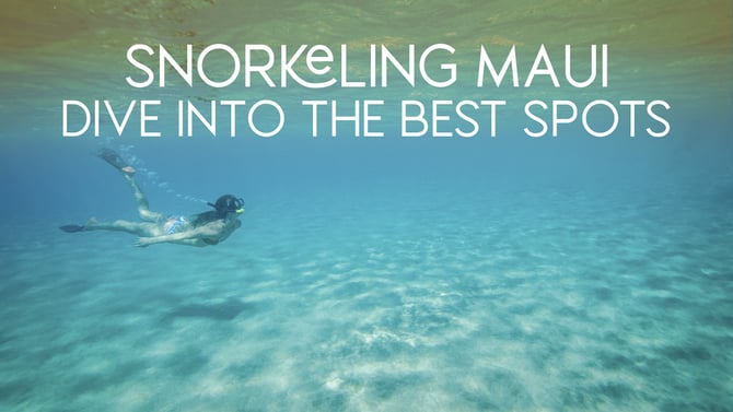 10 Best Places to Snorkel on Maui ( Guide with Current Conditions)