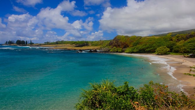 Official Information About Maui Paradise Properties - Maui Paradise Properties