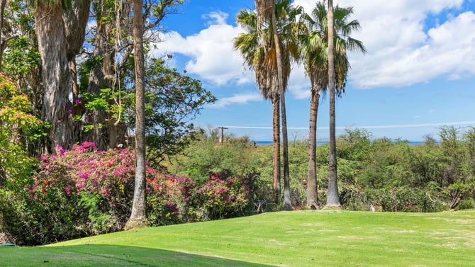 Browse Keawakapu <Br>Vacation Rentals