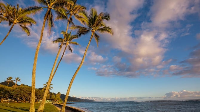 Thanksgiving on Maui: Savor the Season with a Tropical Twist in 2024