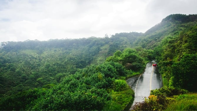 Road to Hāna Guide: Best Stops and Planning Tips
