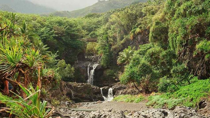 The Ultimate Guide to Maui Waterfalls: Best Spots for Hikers, Families & Adventure Seekers