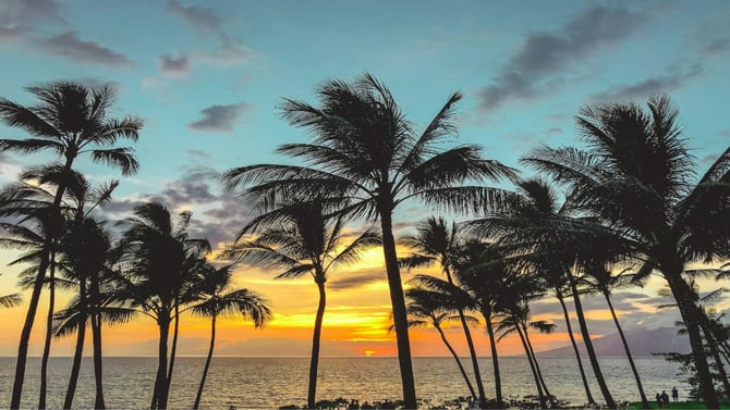 Solo Travel to Maui: Your Complete Guide to Paradise